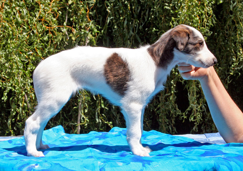 Surf Spots - Boy 1 Right